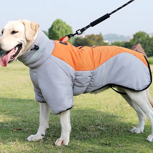 Ropa impermeable para mascotas medianas y grandes.